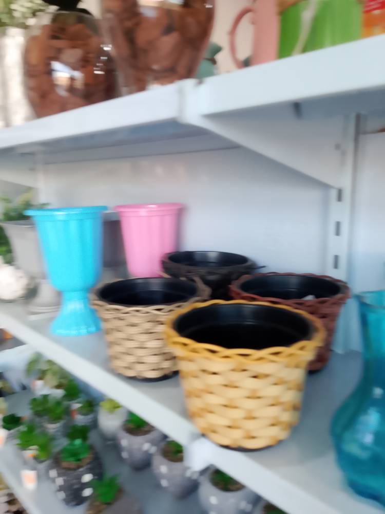 Galeria ESPAÇO ANINHA