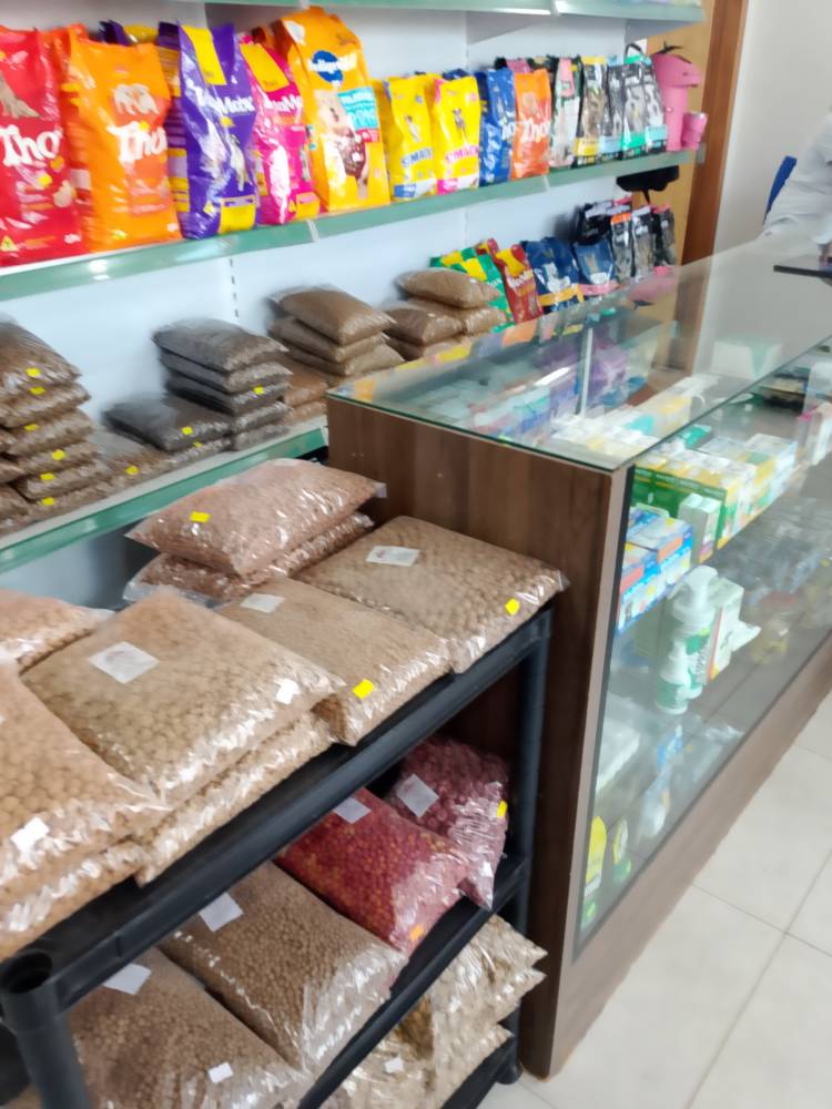Galeria ESPAÇO ANINHA