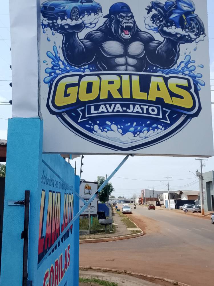 Galeria GORILAS LAVA -JATO