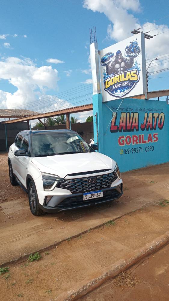 Galeria GORILAS LAVA -JATO