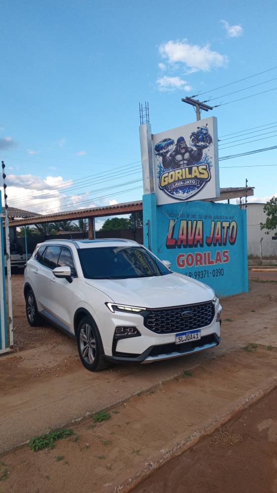 Galeria GORILAS LAVA -JATO