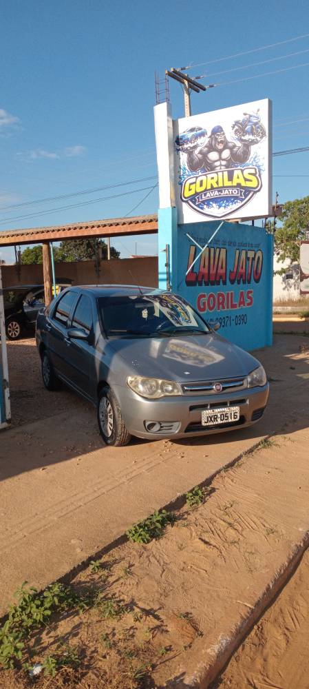 Galeria GORILAS LAVA -JATO