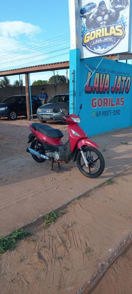Galeria GORILAS LAVA -JATO