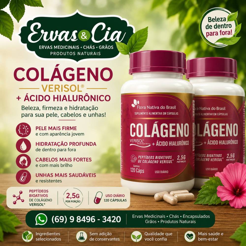 Galeria ERVAS  & CIA