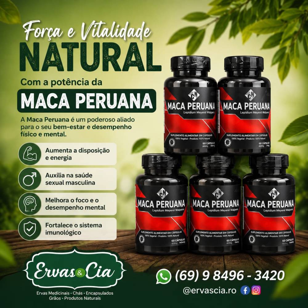 Galeria ERVAS  & CIA