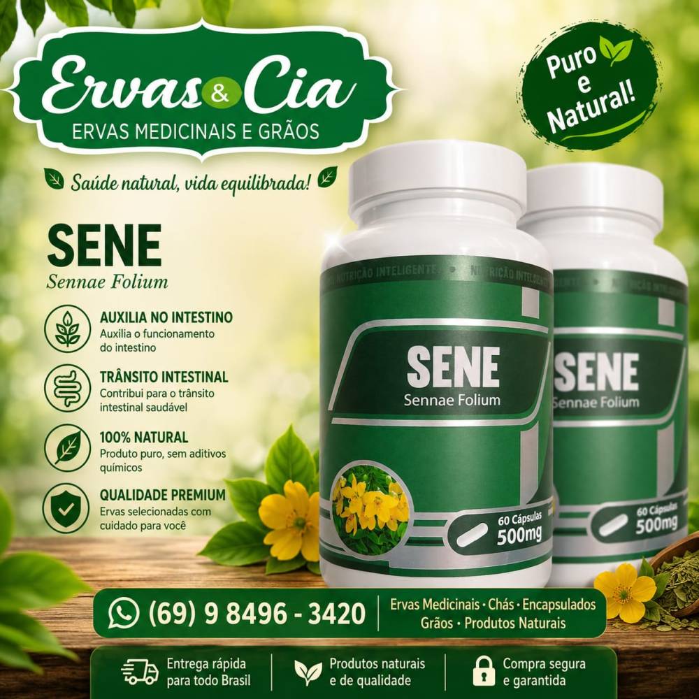 Galeria ERVAS  & CIA