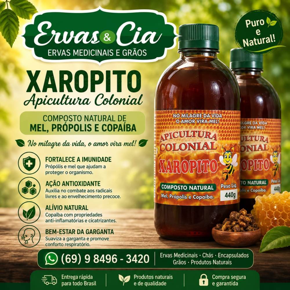 Galeria ERVAS  & CIA