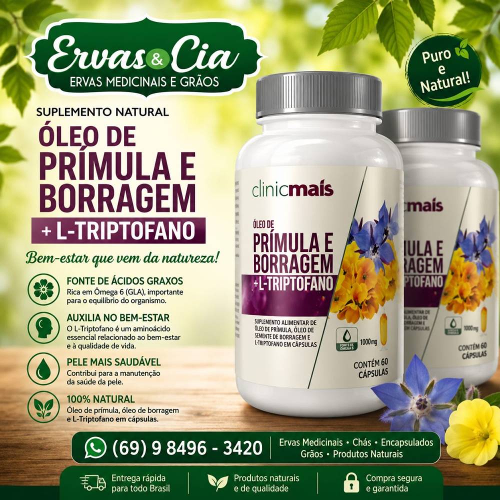 Galeria ERVAS  & CIA