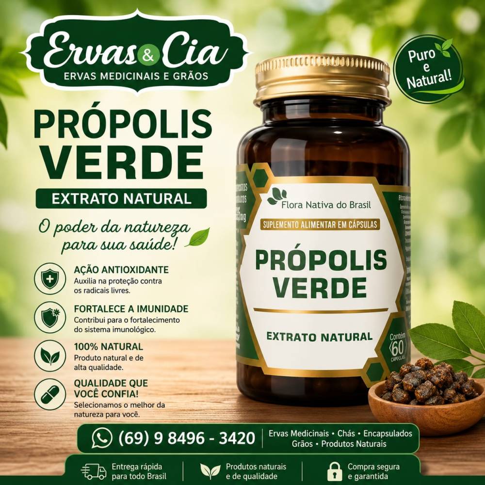 Galeria ERVAS  & CIA