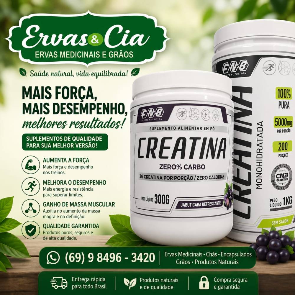 Galeria ERVAS  & CIA