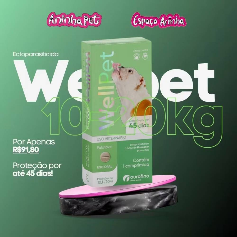 Galeria ANINHA PET