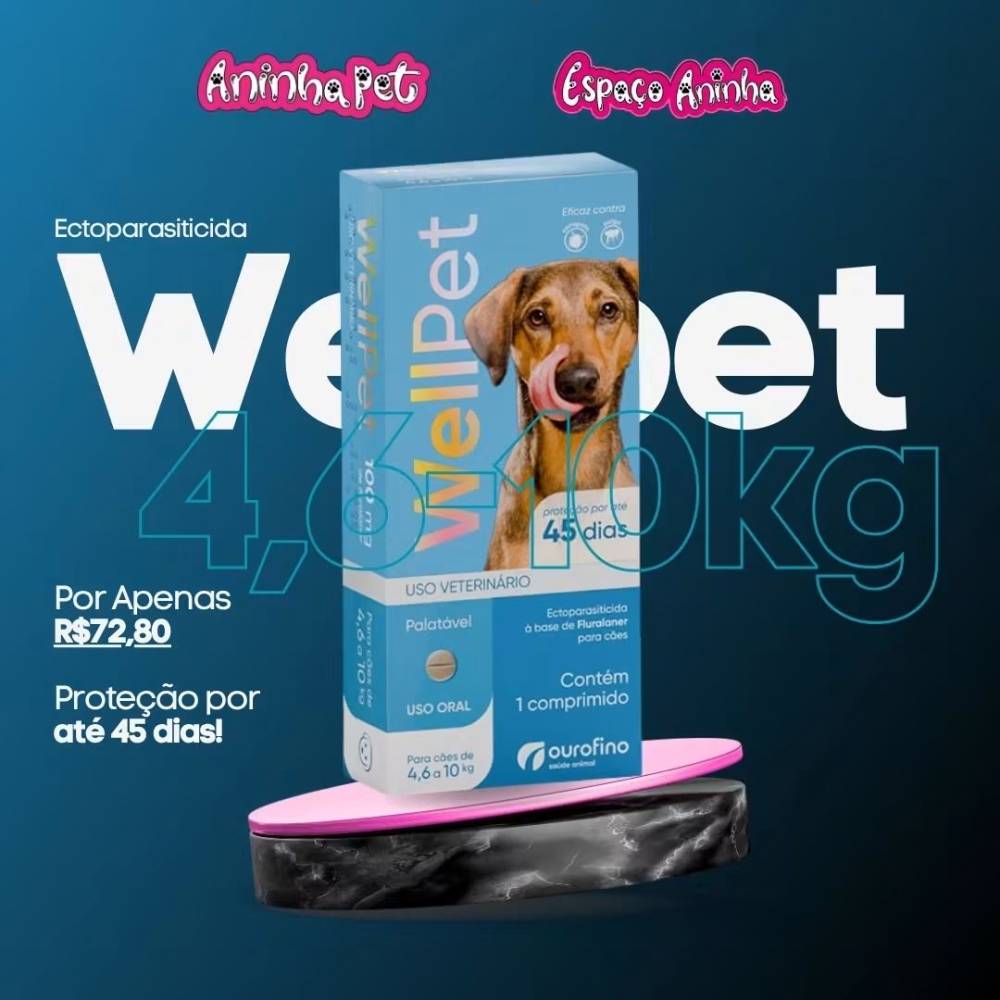Galeria ANINHA PET