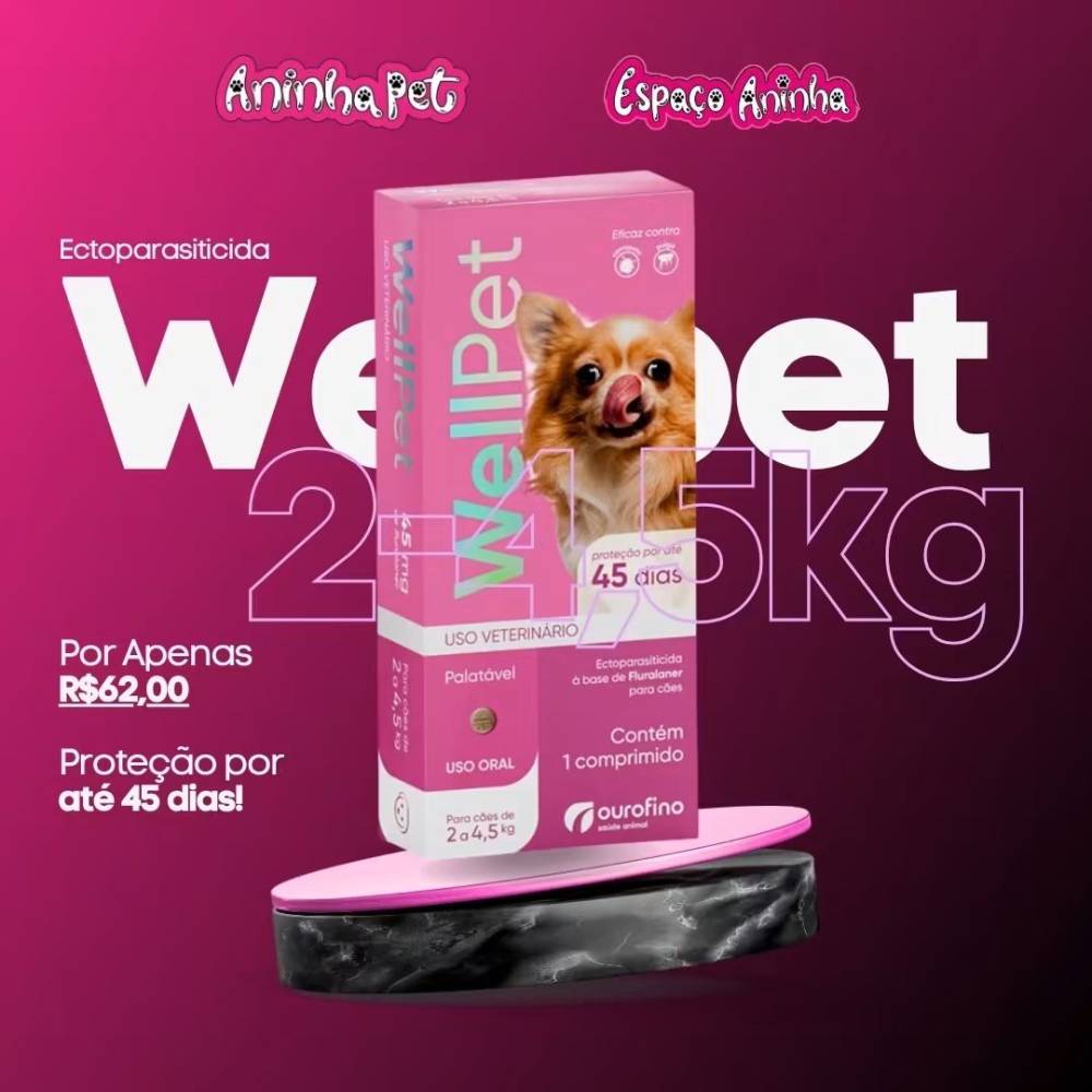 Galeria ANINHA PET