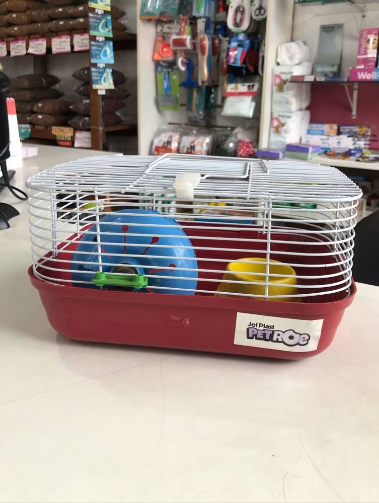 Galeria ANINHA PET