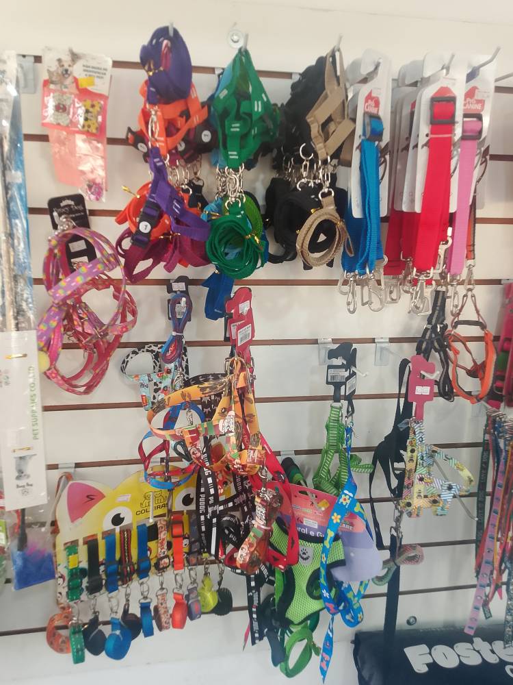 Galeria ANINHA PET